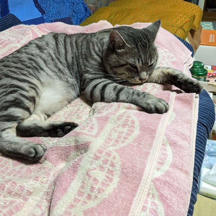 78a73ed9 ba47 44ba b62d 40ff628790ca 1702570842699