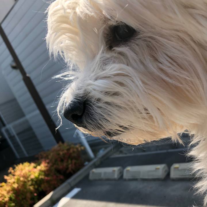 78a744fc 7a74 4348 93af 1c2c7d1729be 1573828960578