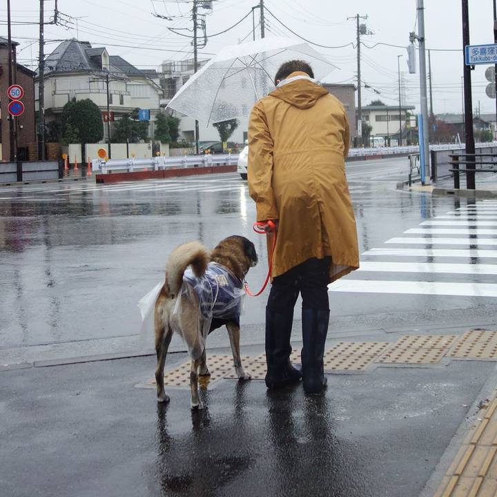 78a74e69 bccb 4692 b4d3 65d924e8f62a 1619050035398