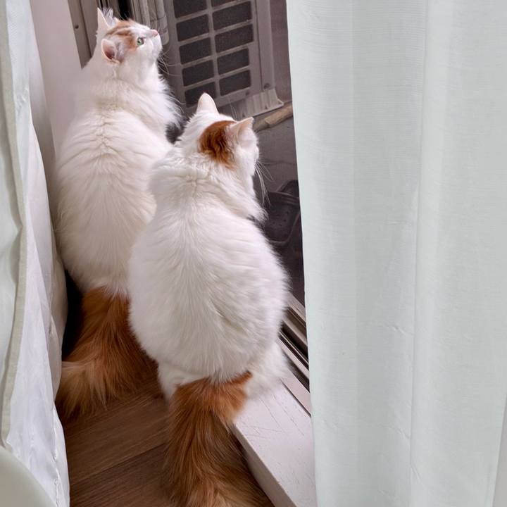 78a776d5 e75b 45d1 966d 1560a8cc2bef 1765674520461