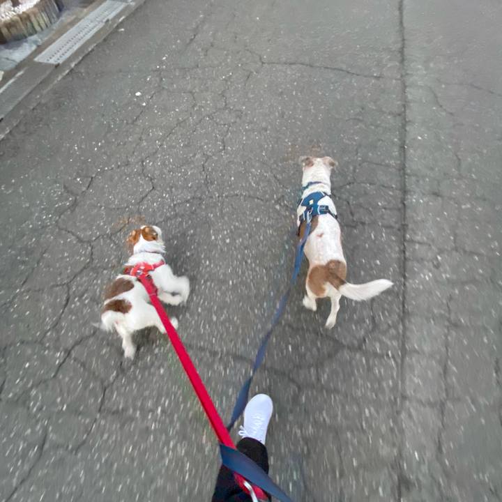 78a7787f 832e 4190 916d 1d28968e6884 1673477097265