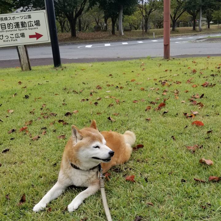 78a789e6 36c7 4497 98b2 e269d355f190 1695450158913