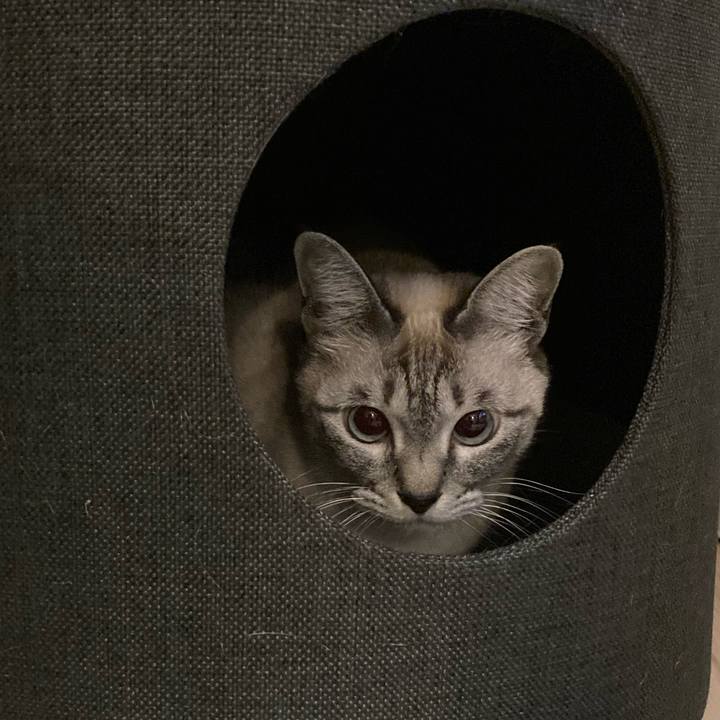 78a7a568 e0d8 4758 bef2 82457291c3b7 1611535584948