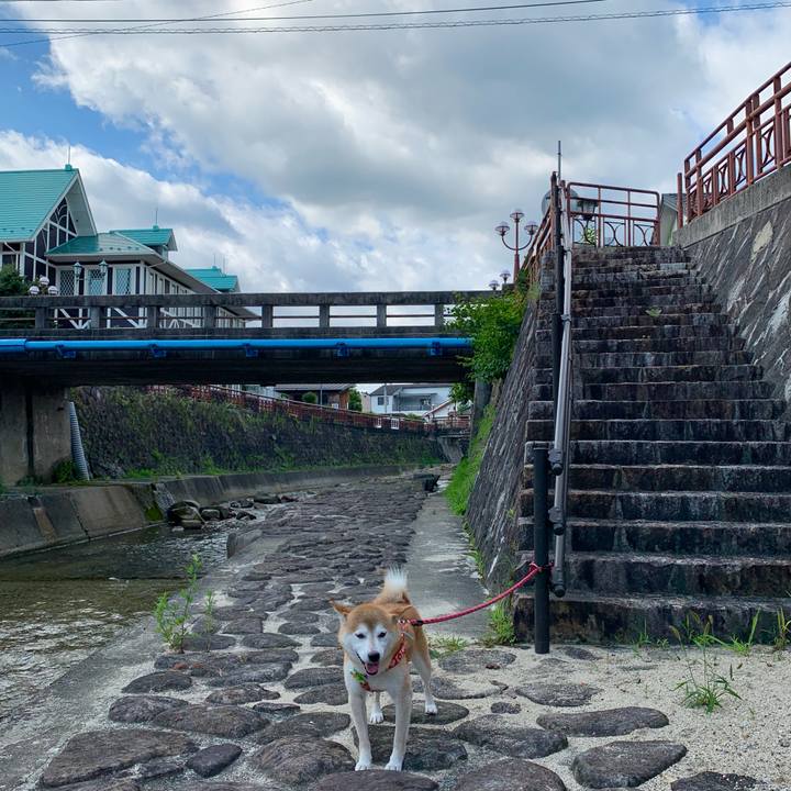 78a7a5c8 5030 45eb 9d0a 33bb64097b47 1628072471688