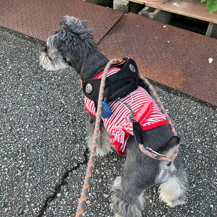 78a7dcb6 ed71 435a a7df 67d68010968d 1731202054978