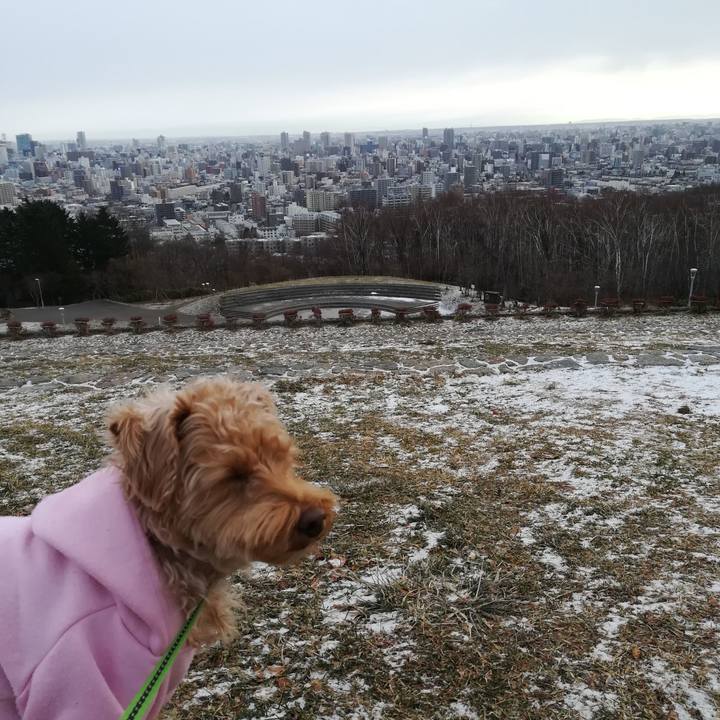 78a803eb 1fe3 46e5 ab26 161551673abc 1576891319581