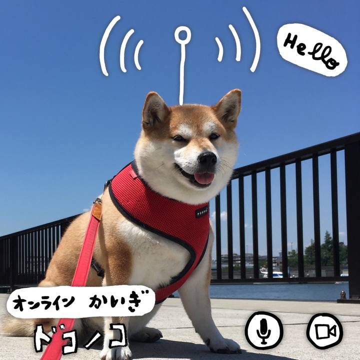 78a8112c 0f65 429c ac34 786e7aec037c 1590725372862