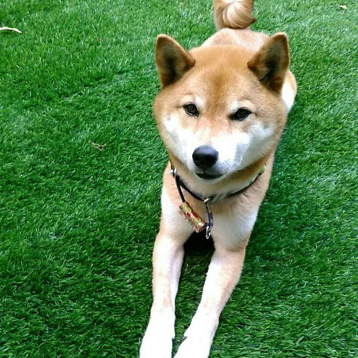 78a812f3 1a70 427e a4a8 dbf41300ab30 1559208977258