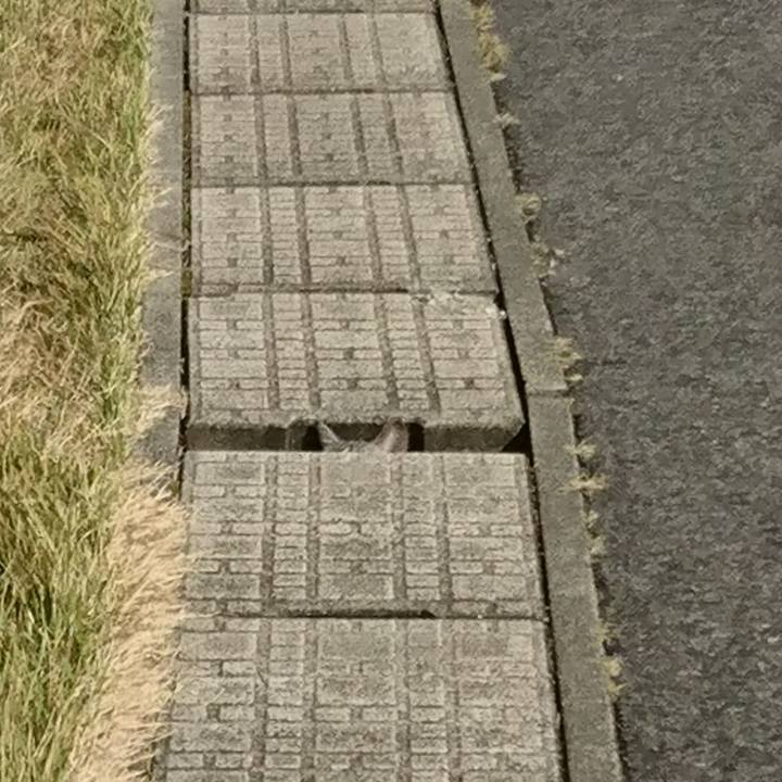 78a82418 56d7 4878 80d5 fcd08075c029 1603016276040