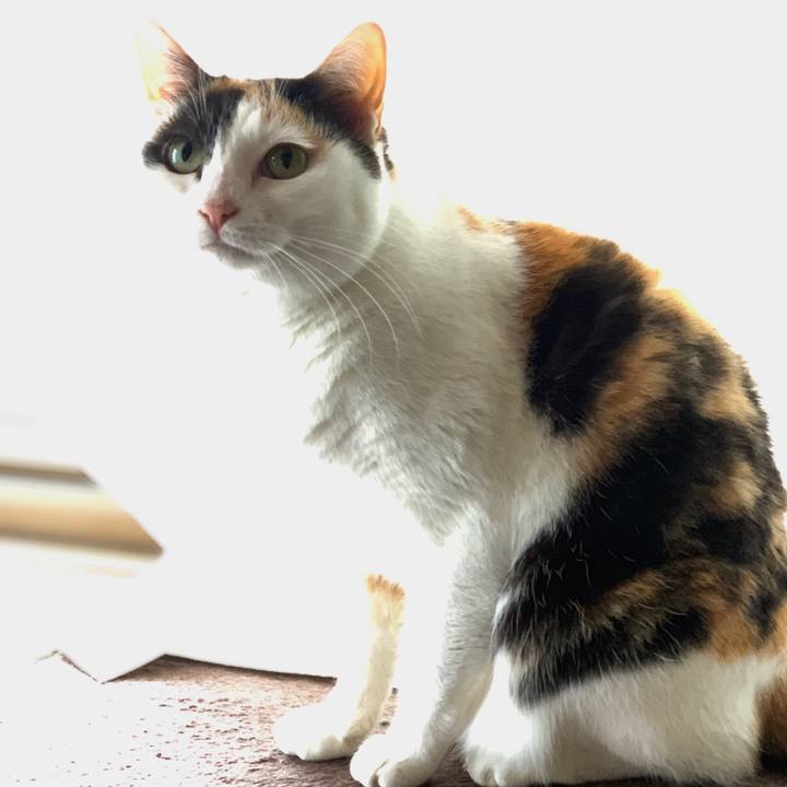 78a84caf 5bb8 4722 9d35 63dcc355efc7 1552009760846