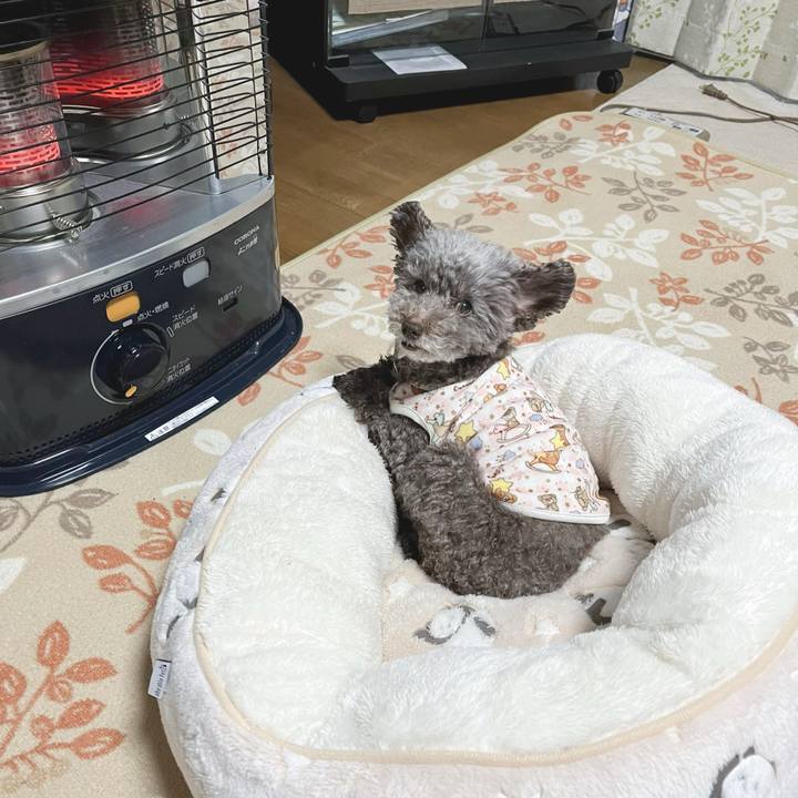 78a86b7d b871 48e2 96c9 a976b053e2e1 1703197419623