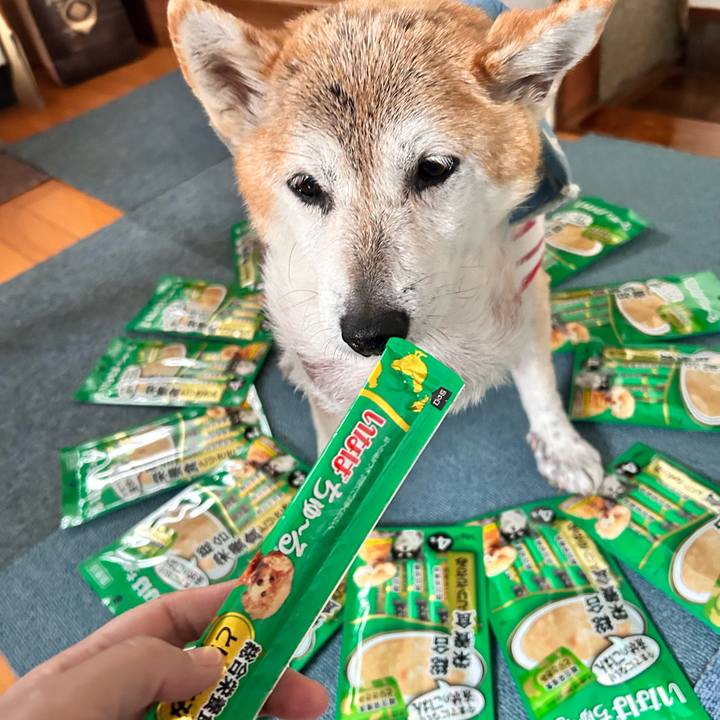 78a89282 ffad 4f69 81b1 9ac8013cbb75 1762418287853