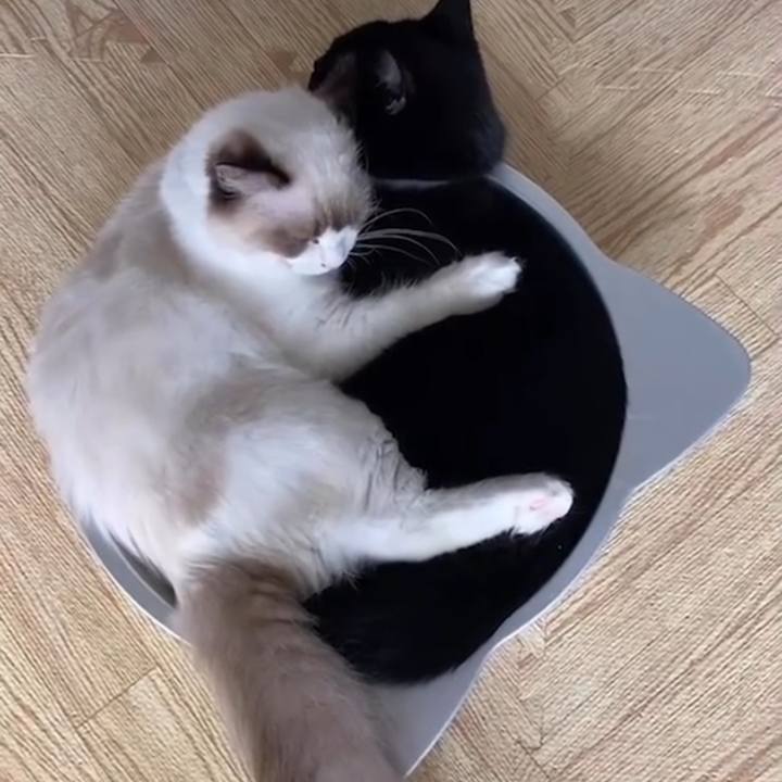 78a89733 8bf0 43d3 8ac2 a1ca26280ae6 1662279809988