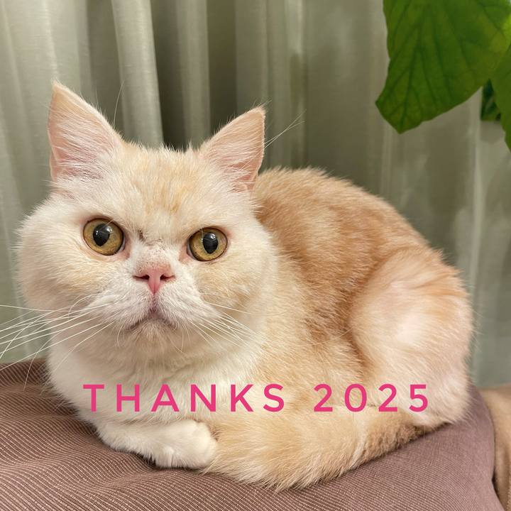 78a8e814 a663 4662 b539 4a19c7014779 1767190614730