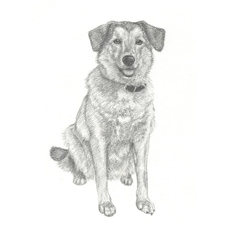 78a91bc8 872c 4a65 8f41 f36fc0707e4a 1552486776047