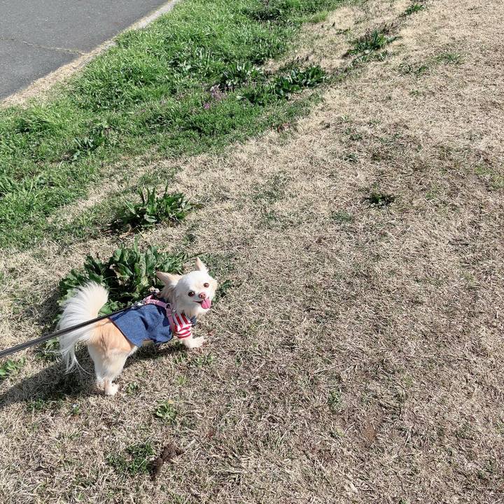 78a946a6 d642 4eb0 9ce3 4318df1aebe7 1710583922711