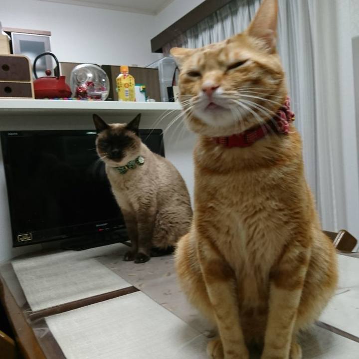 78a95f95 7dcf 40f1 94df 89f1ace987e7 1518518476913