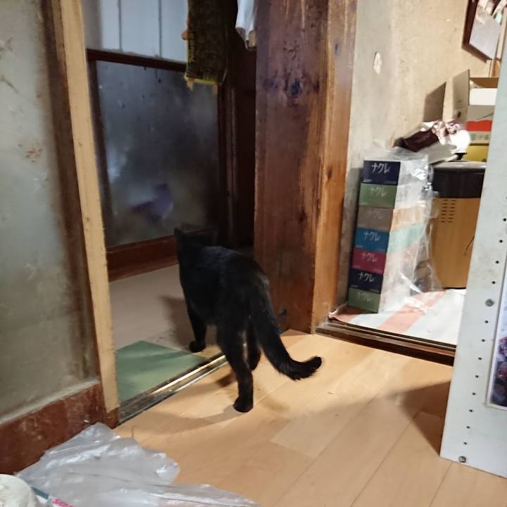 78a9678d 817b 456a b6bf b5f34eeac7b5 1627246322146