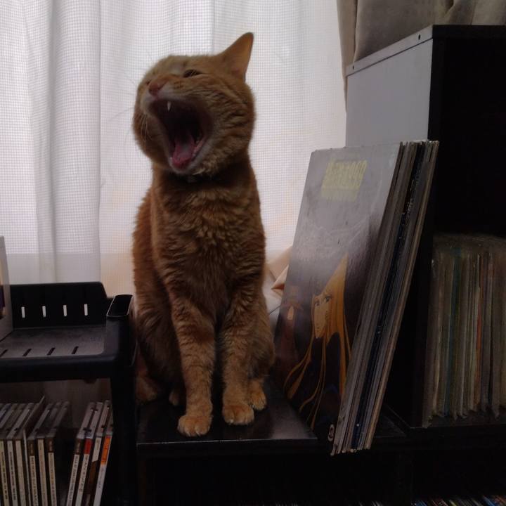 78a98f1a 819b 4539 920f 44db11d78c58 1676875437255