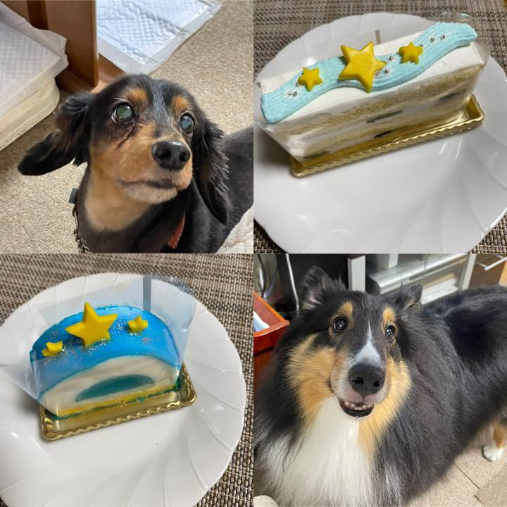 78a99ffa 21e8 4a00 89bc ce9b1a2f2640 1625665540688