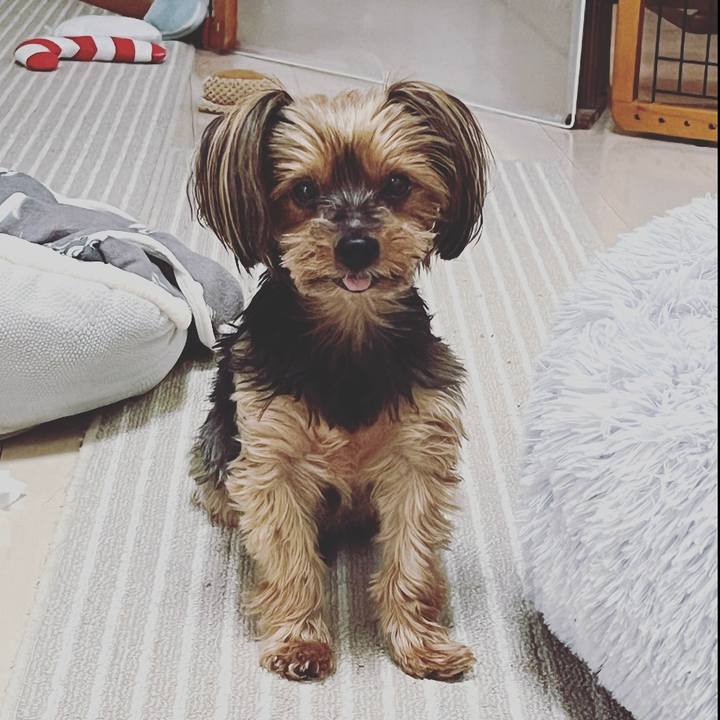 78aa025f 484f 4076 b25d 8822909785fb 1688457677412