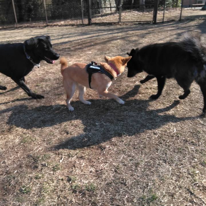 78aa3f05 f14a 475c 80a7 0068da0f15e0 1547350859134