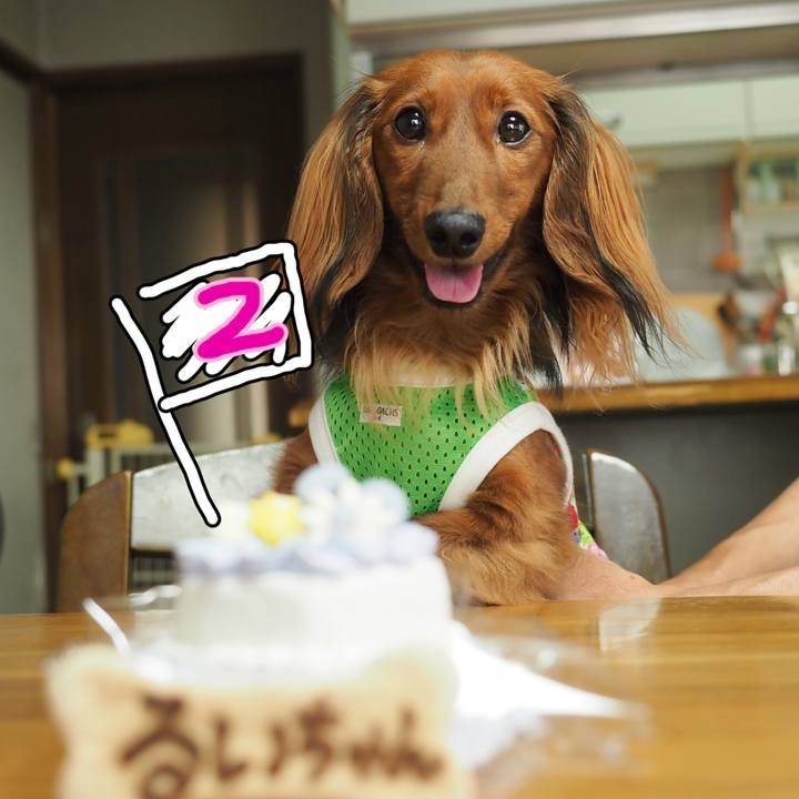 78aa44b0 93bd 438f 9019 87a59d9b1665 1751588286179