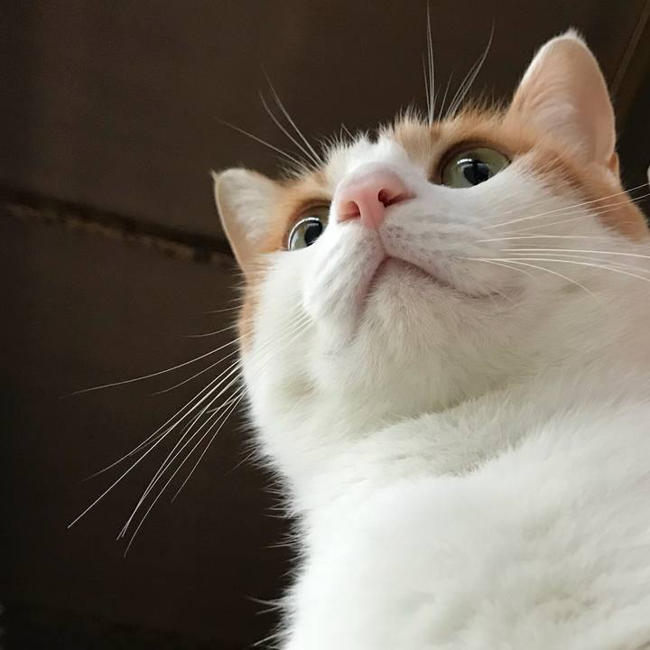 78aa6972 7611 4bff 887f 9f2db60a4c91 1508718708278