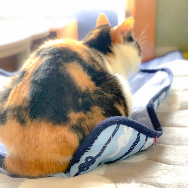 78aa7cef f25a 452b a361 fda09373a8ab 1561944760171