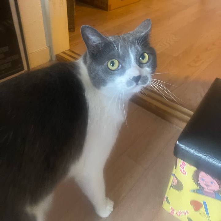 78aabf39 2ff6 4ffc a5bf 818496bbb107 1716506112282