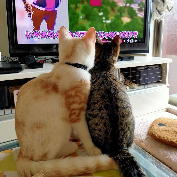 78aada3b 9ad6 429a 9b96 60c6ef4879fe 1630219900615