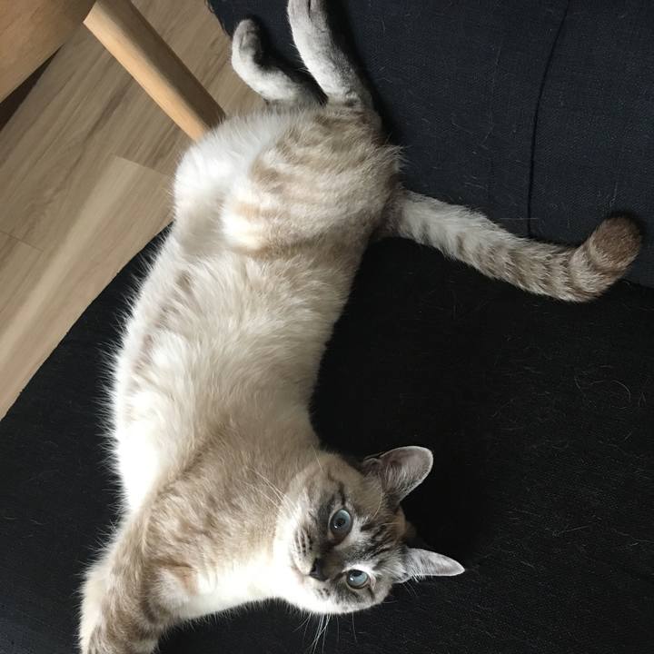 78aaf084 682d 47b1 a43b 3914e2254c93 1559089097274