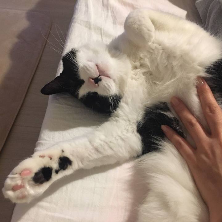 78aaf4f9 cd4f 483c a7ba 2fedc82cd268 1587380418221