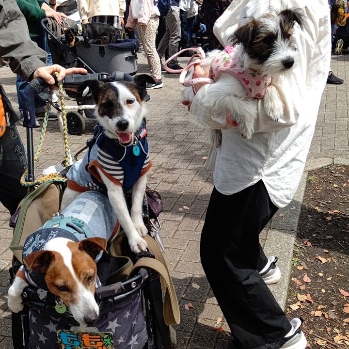 78ab2484 13ef 46a2 bc62 d6cafe94611a 1712492917614