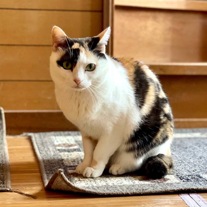 78ab8d00 4572 44d1 88ac 04cd70a41970 1618453641002