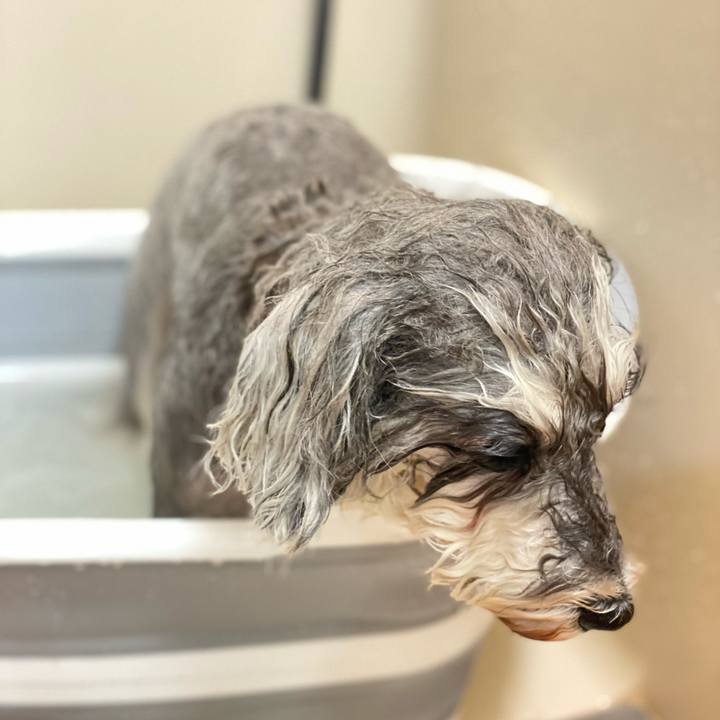 78ab8ece 6ce3 484a 933b dd8648eb7dff 1615036415969