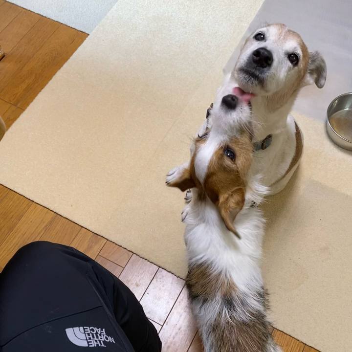 78ab9f0c adae 4afe b519 9f65ce9a4e3f 1639524527098