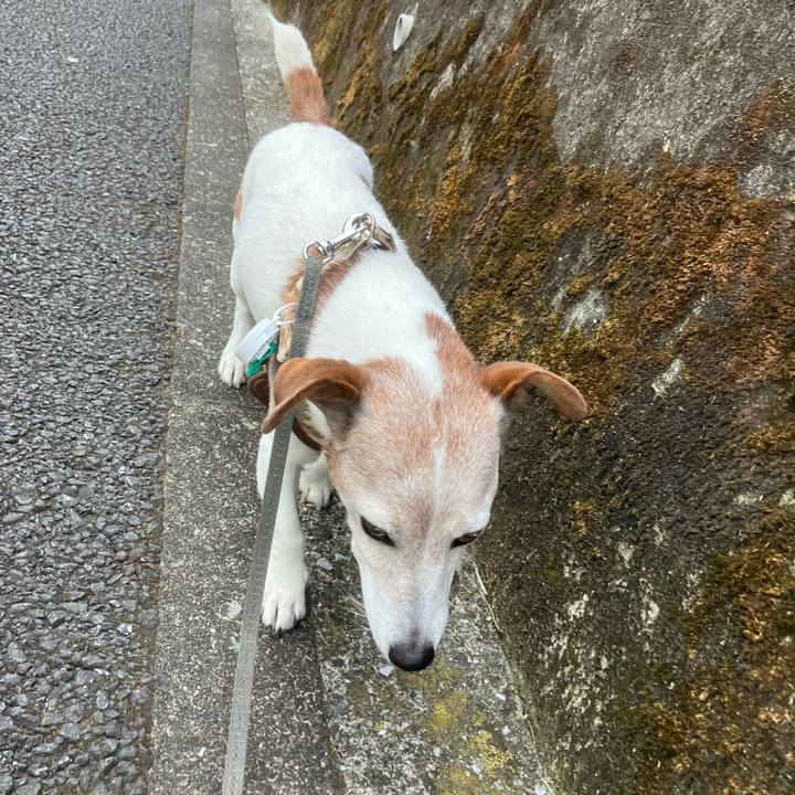 78abaa12 834c 4aad bd26 4b4c8f304030 1759447948300