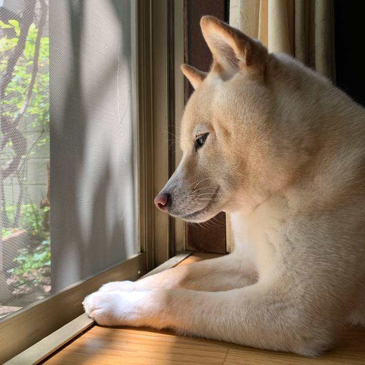 78abf799 73d8 49f0 a12e e4c6fc85ea33 1653702570558