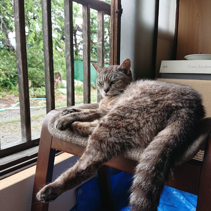 78ac050a 57e7 47c3 b963 be4a6181e8e2 1565928832388