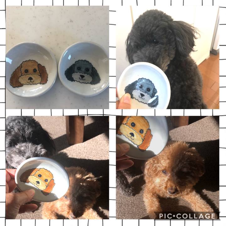 78ac1223 ce63 4dc9 8df1 9f4bacad20bf 1604806502322