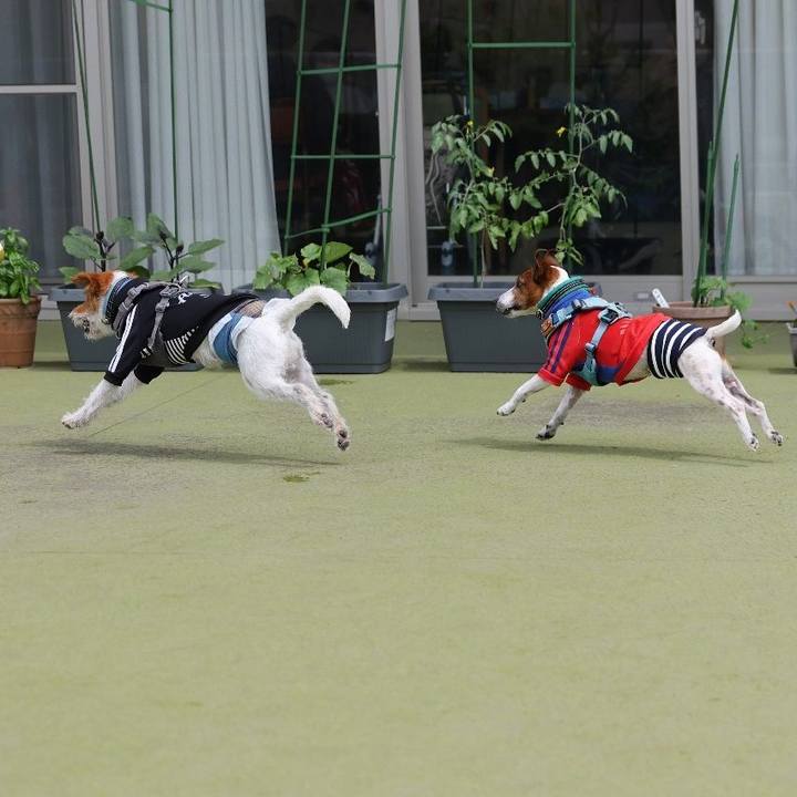 78ac47ff e8dc 4502 bb94 3fc92f289876 1716816617306