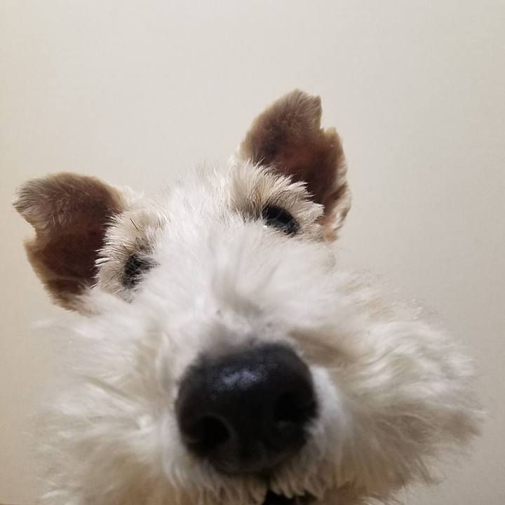 78ac4c1c 0251 45c3 9d3e 2e392177c993 1543499383893