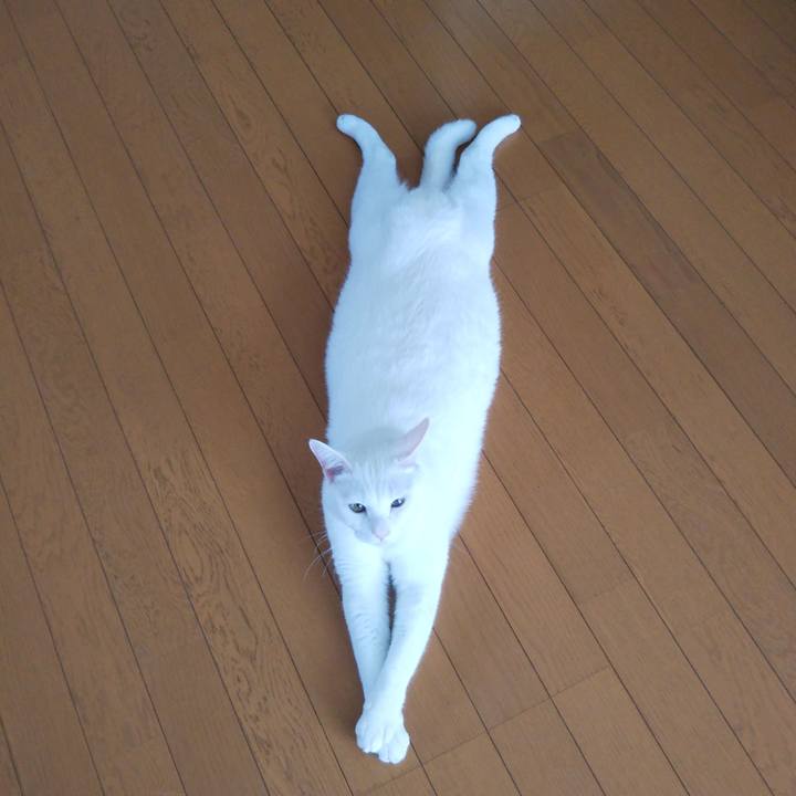 78ac4d19 0990 4921 aa8f 30ab539fd151 1539056285466