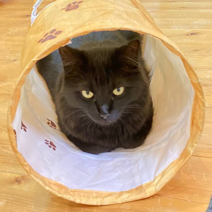 78ac58c4 b727 43be ac3b a1efb4d559d9 1755349212291