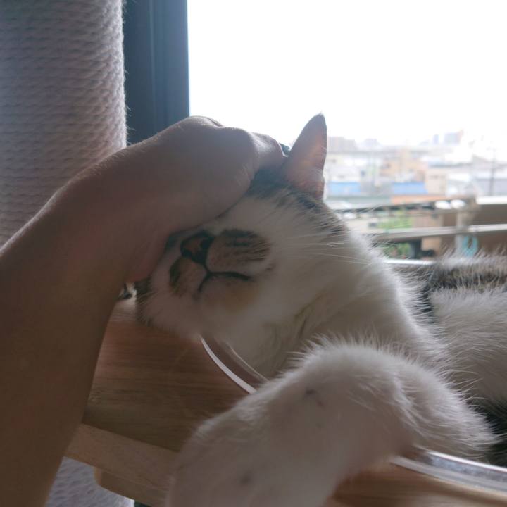 78ac726a 2552 4c8d 8266 579c3d6db2af 1663563337860