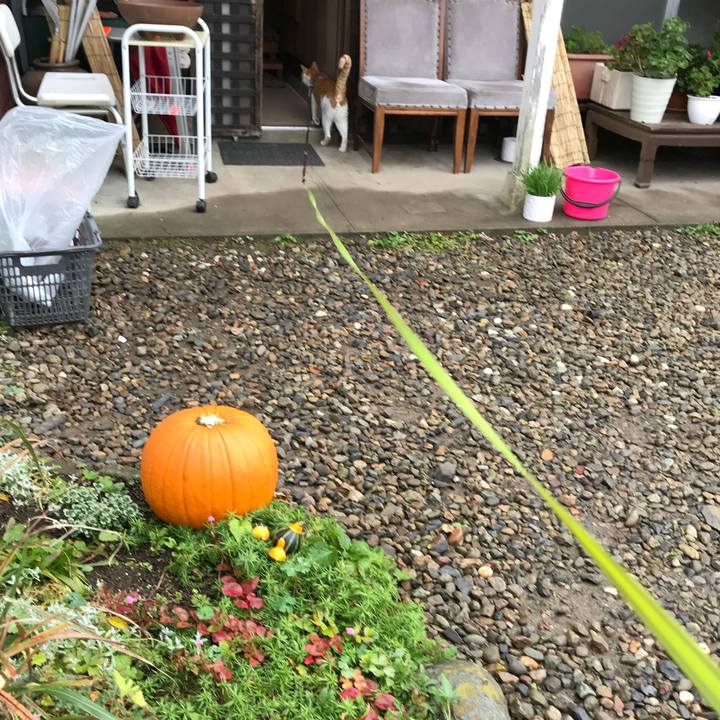 78ac8a0e 7b3c 493d acbd 61aa6edbe488 1508579923177