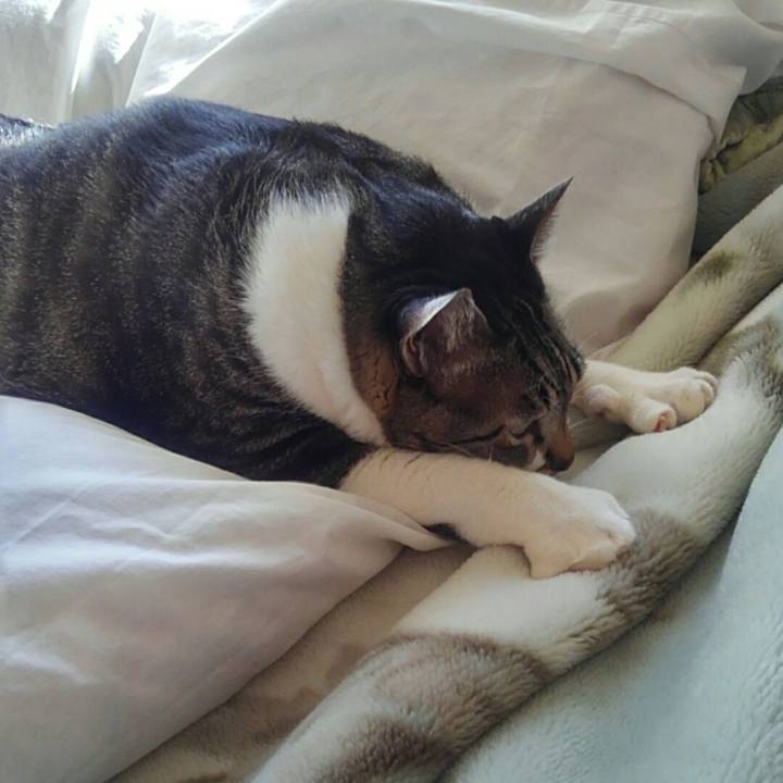 78acd793 005e 4309 a570 4c2816ce5b57 1510447424634