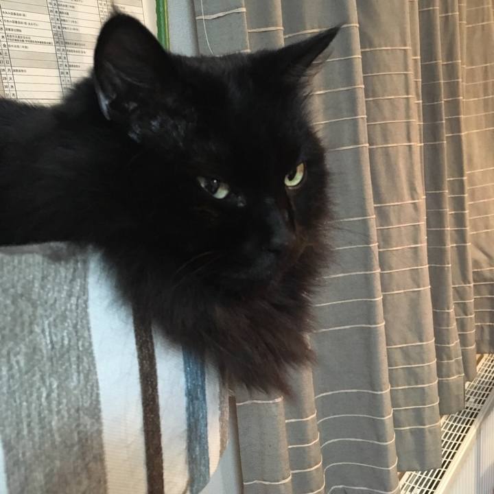 78acd887 5995 4088 a4d2 6cee7551858e 1544050724637