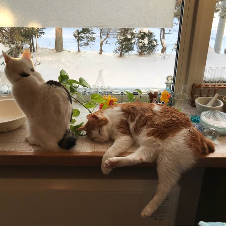 78acfa6f 6701 4b7a 87f2 c209d7029ac3 1544223349963